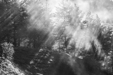 Similar image 21305980