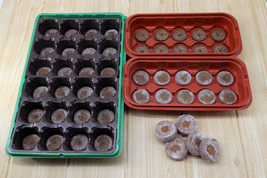 Similar image 21306845