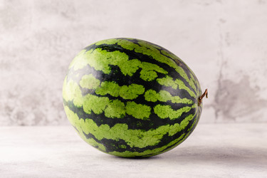 Similar image 21308313