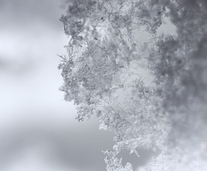 Similar image 21306846