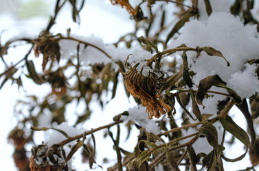 Similar image 21306848