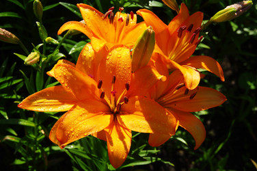 Similar image 21306491