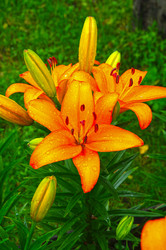 Similar image 21306492