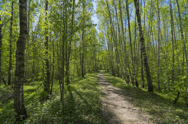 Similar image 21306494