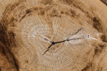 Similar image 21315919