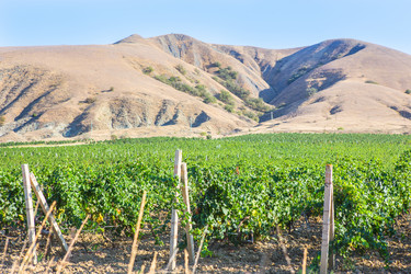 Similar image 21342032