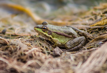 Similar image 21316011