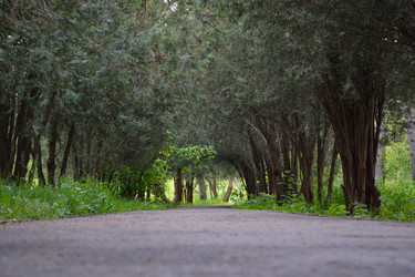 Similar image 21306718