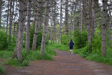 Similar image 21306719