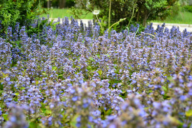 Similar image 21306720