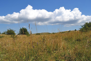 Similar image 21306723