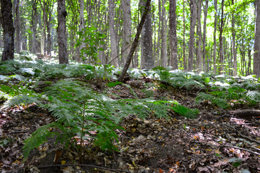 Similar image 21306724