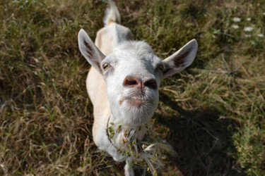 Similar image 21306726