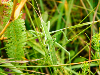 Similar image 21306727