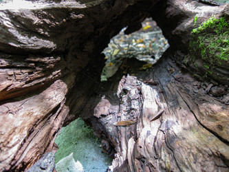 Similar image 21306728