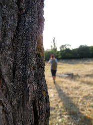 Similar image 21306729