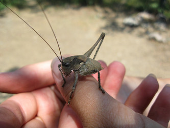 Similar image 21306731