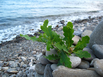 Similar image 21306732