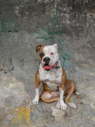 Similar image 21306778