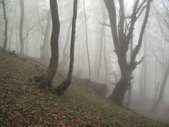 Similar image 21306780