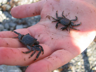 Similar image 21306781