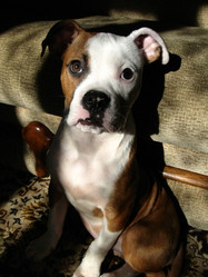 Similar image 21306783