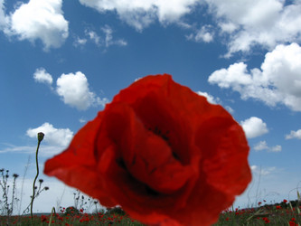 Similar image 21306784