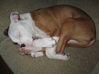 Similar image 21306785