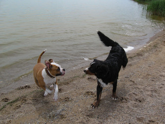 Similar image 21306786