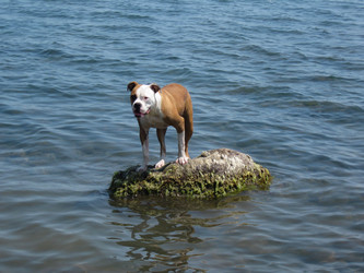 Similar image 21306787