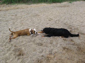 Similar image 21306788