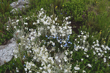 Similar image 21306795