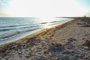 Similar image 21306734