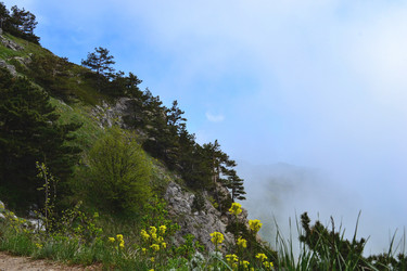 Similar image 21306797