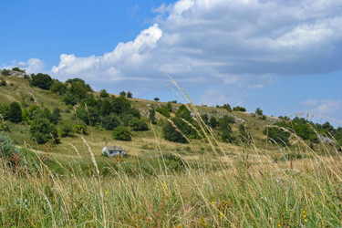 Similar image 21306799