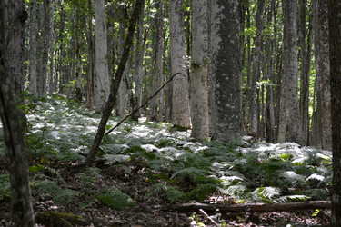 Similar image 21306800