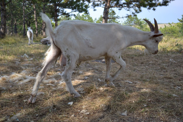 Similar image 21306802