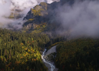 Similar image 21335575