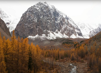 Similar image 21335577