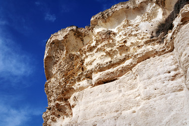 Similar image 21308363