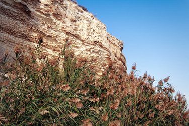 Similar image 21308366