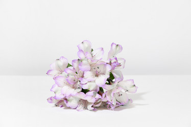 Similar image 21312896