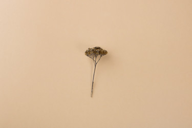 Similar image 21312927