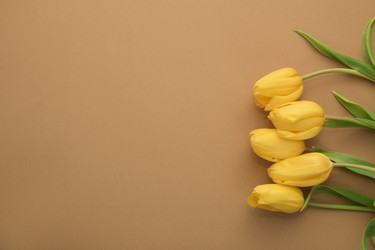 Similar image 21312930