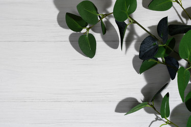 Similar image 21321105