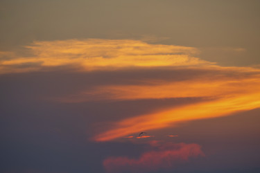 Similar image 21307210