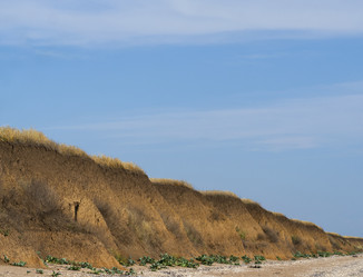 Similar image 21307211