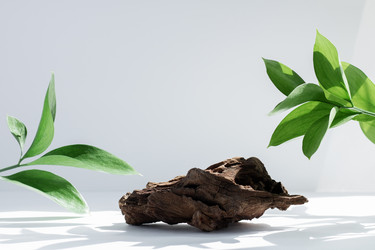 Similar image 21340062