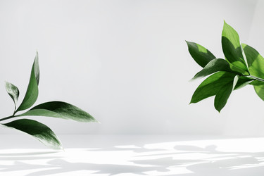 Similar image 21337815