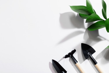 Similar image 21335917